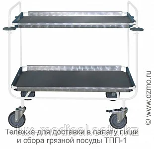 Тележка для доставки в палату пищи и сбора грязной посуды (РОССИЯ) ТПП-1