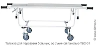 ТБС-01 Тележка для перевозки больных, со съемной панелью